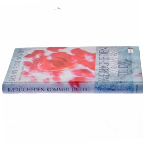 Kærligheden kommer til dig? (Bog)