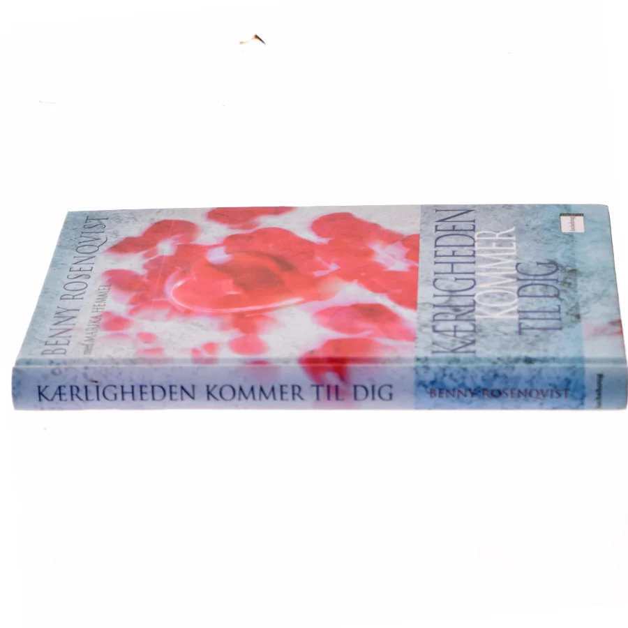 Kærligheden kommer til dig? (Bog)