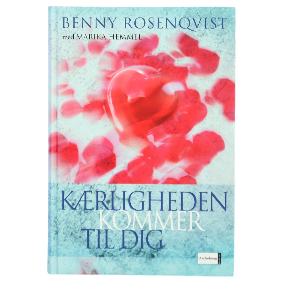 Kærligheden kommer til dig? (Bog)