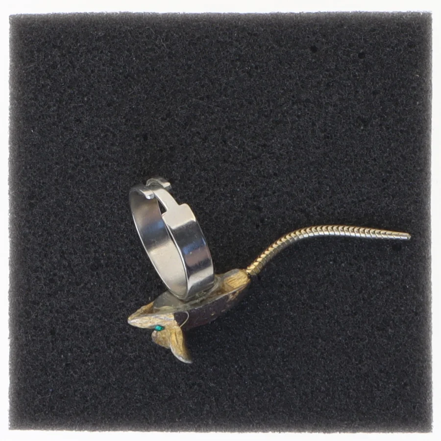 Rebormus med ring (str. 56)