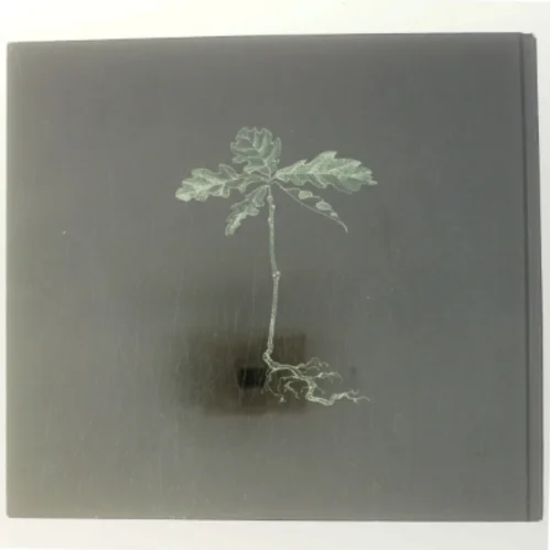 Naturen i Kulturen / Kulturen i Naturen af Rasmus Nielsen (Bog)