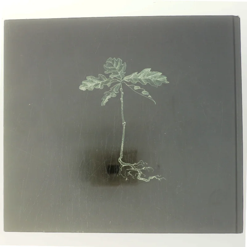 Naturen i Kulturen / Kulturen i Naturen af Rasmus Nielsen (Bog)