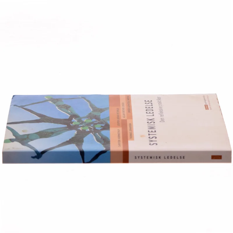 Systemisk ledelse : den refleksive praktiker af Carsten Hornstrup (Bog)