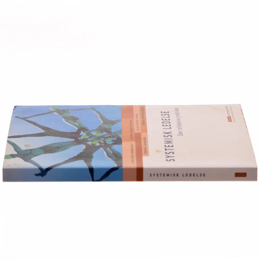 Systemisk ledelse : den refleksive praktiker af Carsten Hornstrup (Bog)