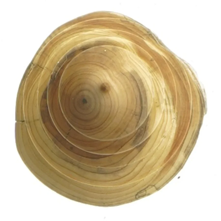 Træfigur af juletræ (str. 11,5 cm)