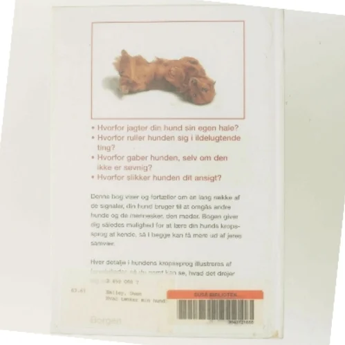 Hvad tænker min hund? af Gwen Bailey (Bog)