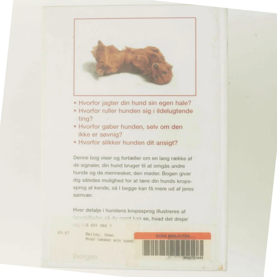 Hvad tænker min hund? af Gwen Bailey (Bog)