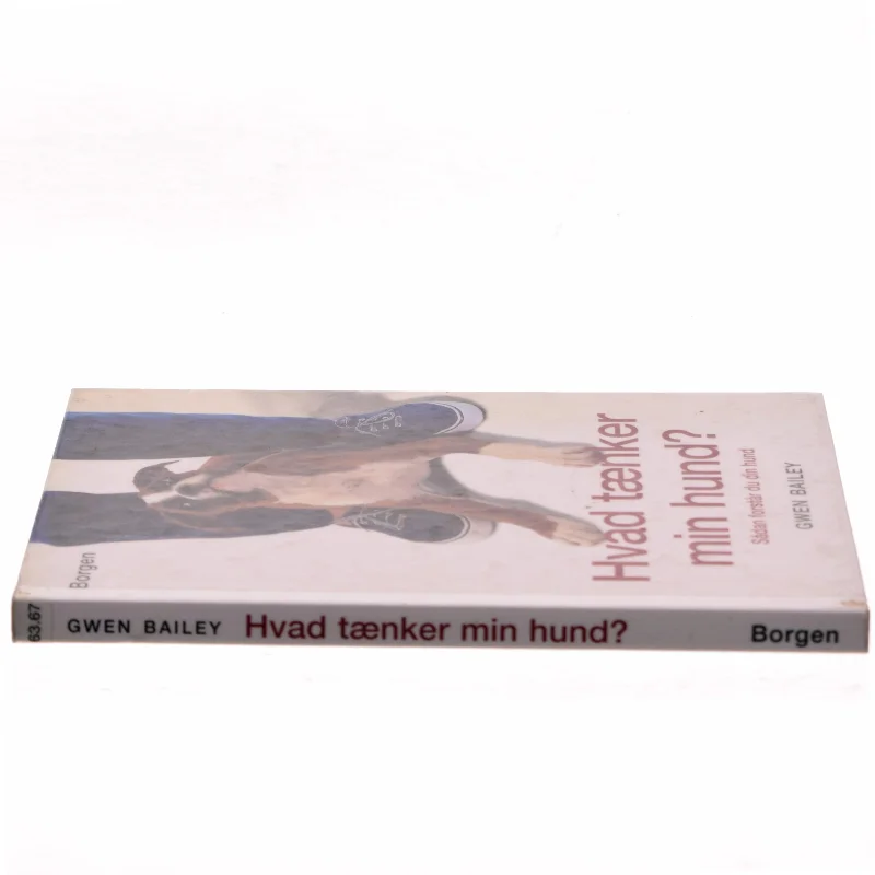 Hvad tænker min hund? af Gwen Bailey (Bog)