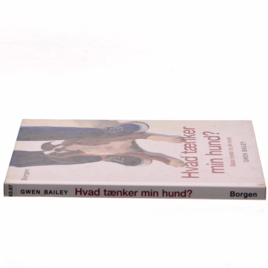 Hvad tænker min hund? af Gwen Bailey (Bog)