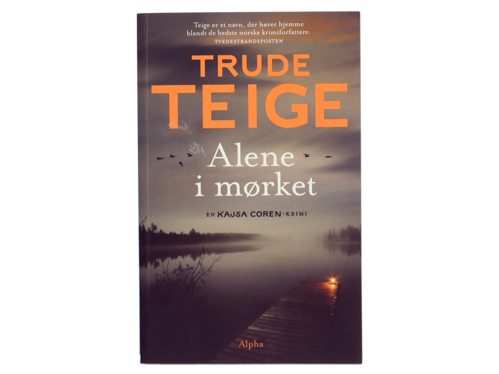 Alene i mørket af Trude Teige (Bog)