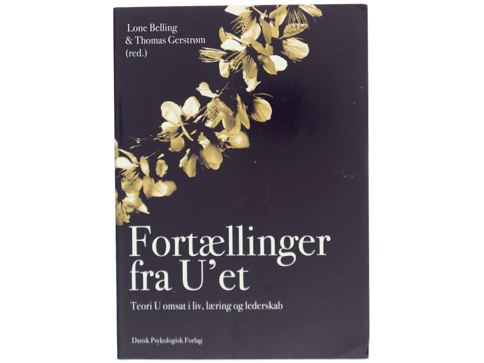 Fortællinger fra U'et : teori U omsat i liv, læring og lederskab (Bog)