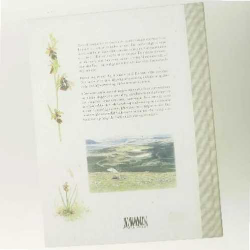 Orkidéer i Europa : smukke, specielle og sårbare af Henrik Ærenlund Pedersen (Bog)