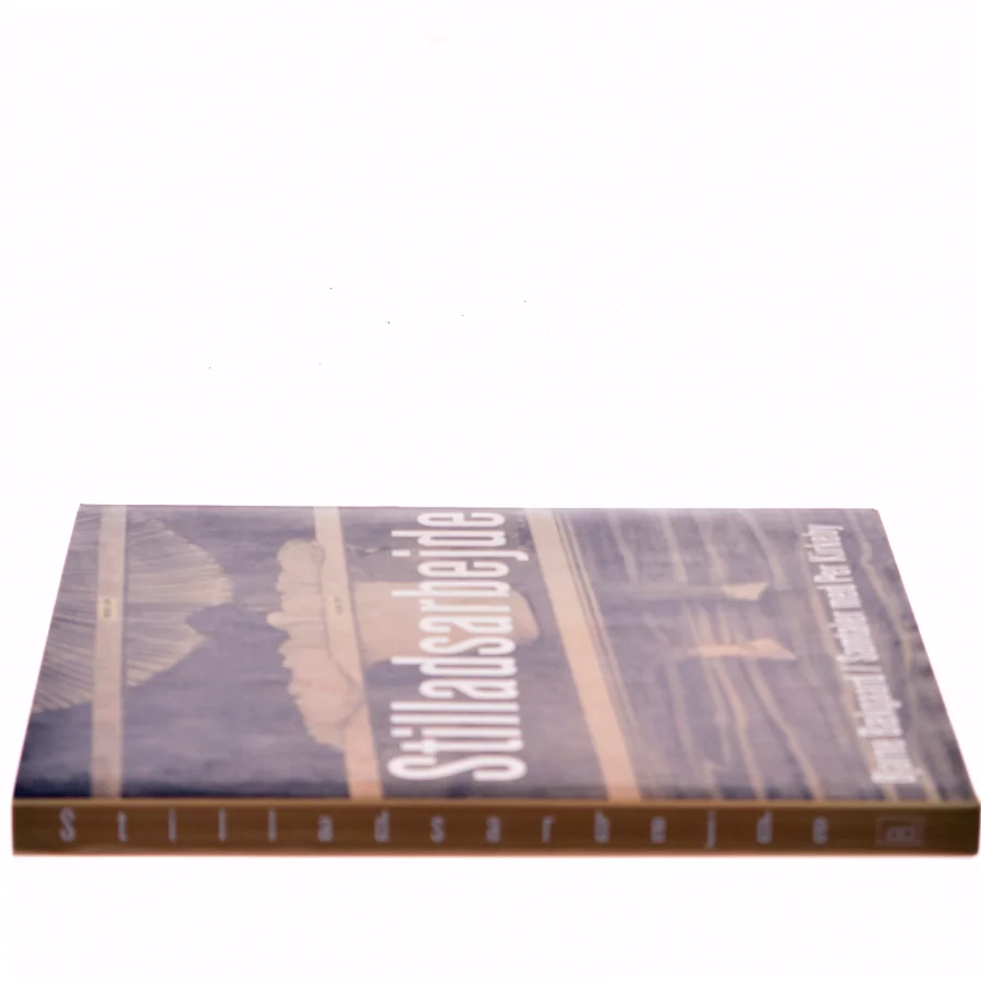 Stilladsarbejde : samtaler med Per Kirkeby af Bjarne Bækgaard (Bog)