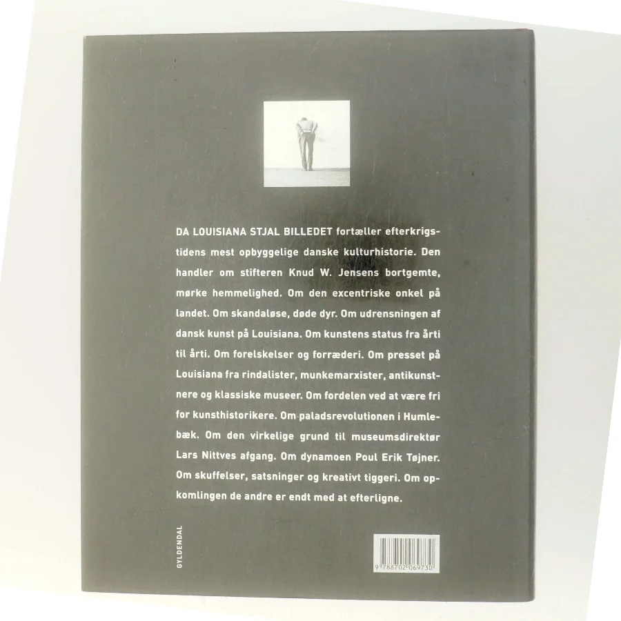 Da Louisiana Stjal Billedet af Pernille Stensgaard (Bog)