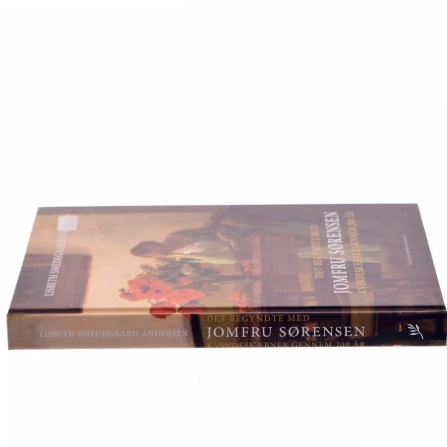 Det begyndte med Jomfru Sørensen : kvindeskæbner gennem 200 år af Lisbeth Smedegaard Andersen (Bog)