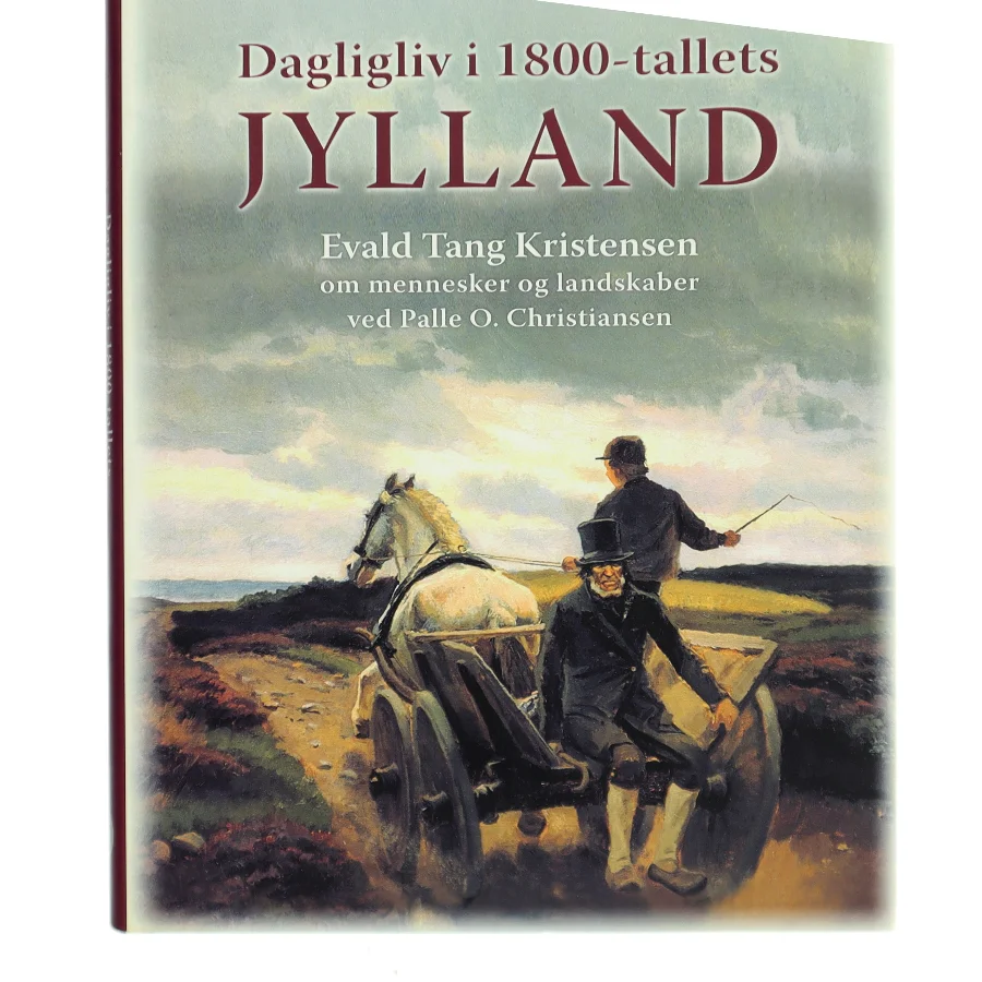 Dagligliv i 1800-tallets Jylland : Evald Tang Kristensen om mennesker og landskaber af Evald Tang Kristensen (Bog)