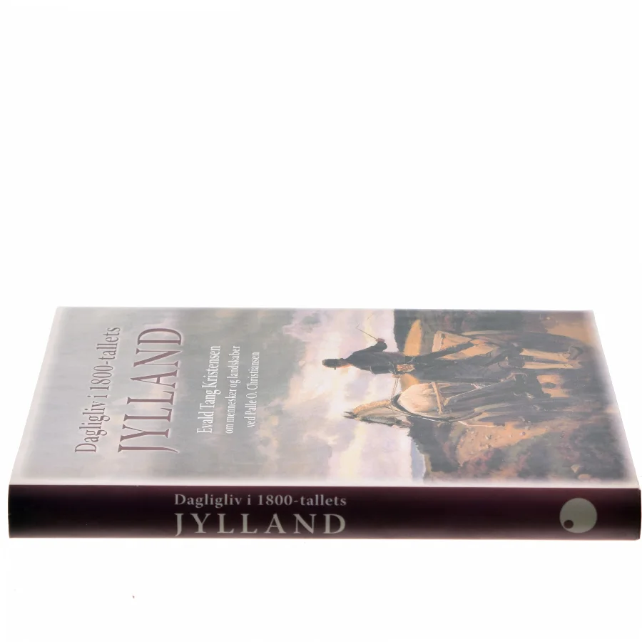 Dagligliv i 1800-tallets Jylland : Evald Tang Kristensen om mennesker og landskaber af Evald Tang Kristensen (Bog)