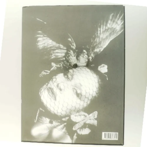 Jean Voigt : lyset rammer selv det unævnelige af Maria Sander (f. 1954-01-31) (Bog)