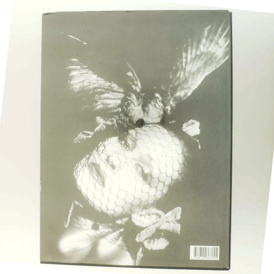 Jean Voigt : lyset rammer selv det unævnelige af Maria Sander (f. 1954-01-31) (Bog)