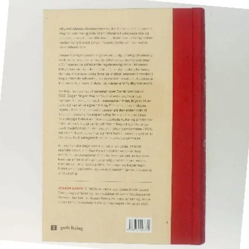 Regines gåde : historien om Kierkegaards forlovede og Schlegels hustru af Joakim Garff (Bog)