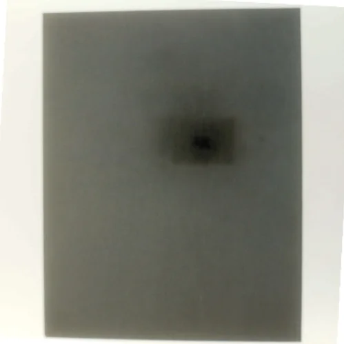 Den Arabiske Rejse (Bog)