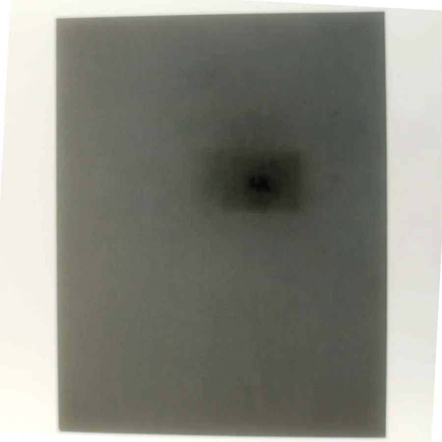 Den Arabiske Rejse (Bog)