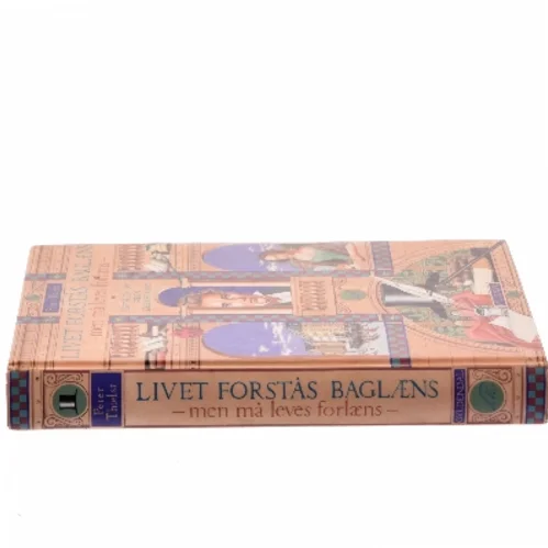 Livet forstås baglæns, men må leves forlæns : historien om Søren Kierkegaard af Peter Thielst (Bog)