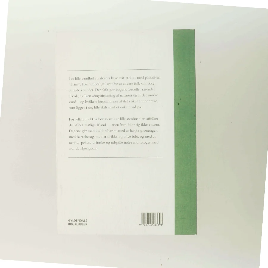 Dam af Claire-Louise Bennett (Bog)