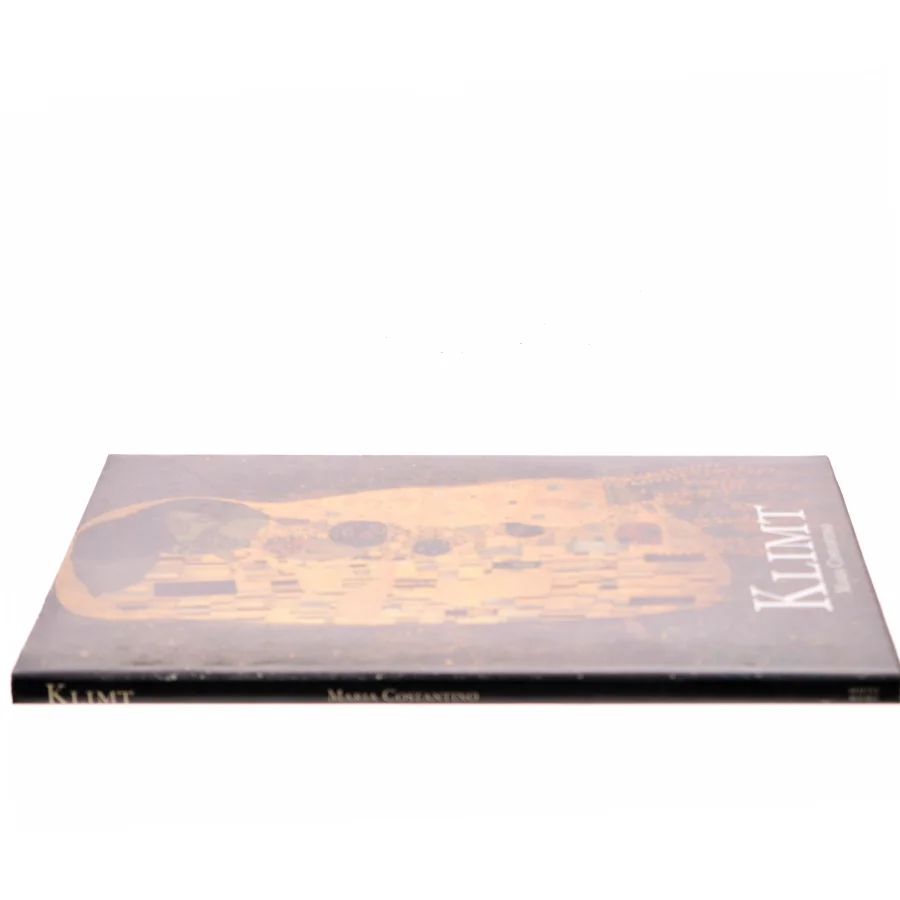 Klimt af Maria Costantino (Bog)