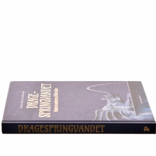 Dragespringvandet : historien om vandkunsten på Rådhuspladsen af Jens Peter Munk (Bog)