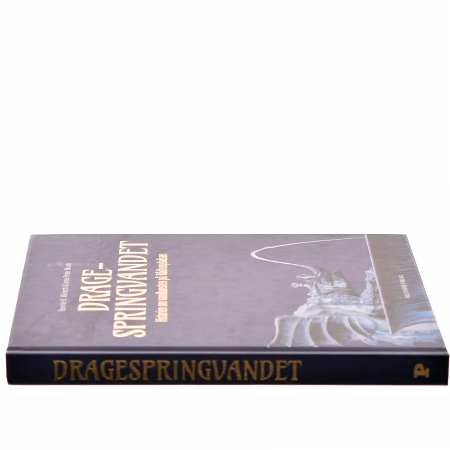 Dragespringvandet : historien om vandkunsten på Rådhuspladsen af Jens Peter Munk (Bog)