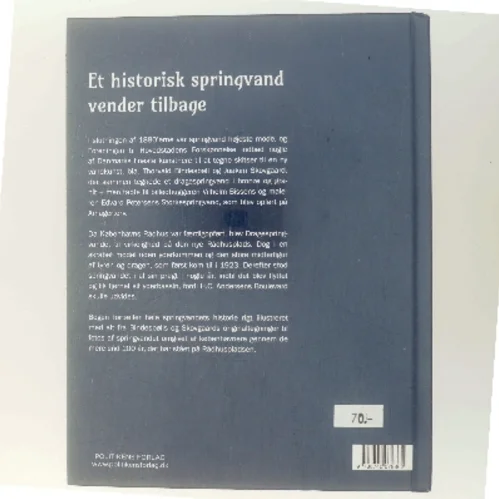 Dragespringvandet : historien om vandkunsten på Rådhuspladsen af Jens Peter Munk (Bog)