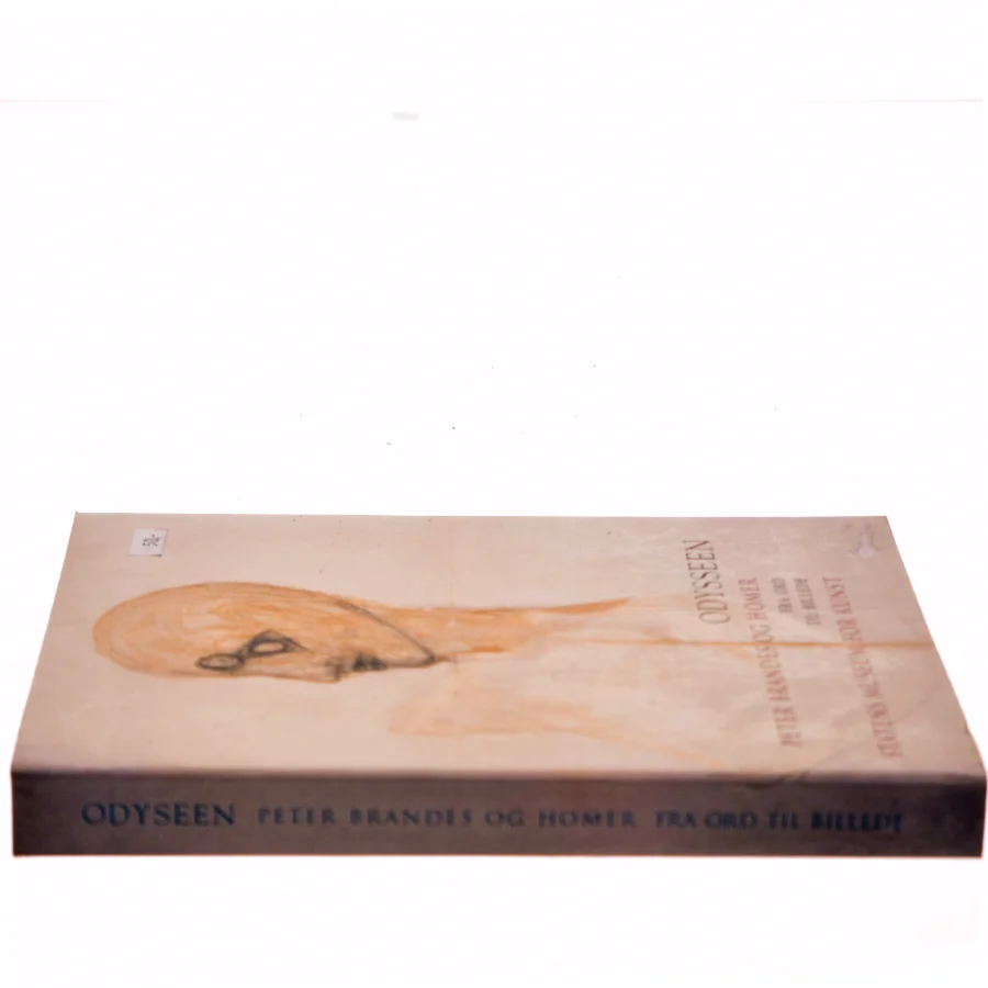 Odysseen af Peter Brandes (Bog)