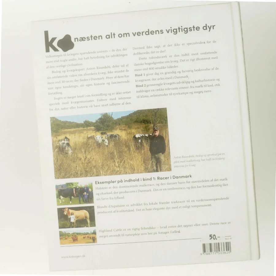 Ko - næsten alt om verdens vigtigste dyr af Anton Raundahl (Bog)