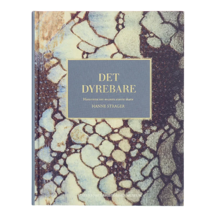 Det Dyrebare af Hanne Strager (Bog)