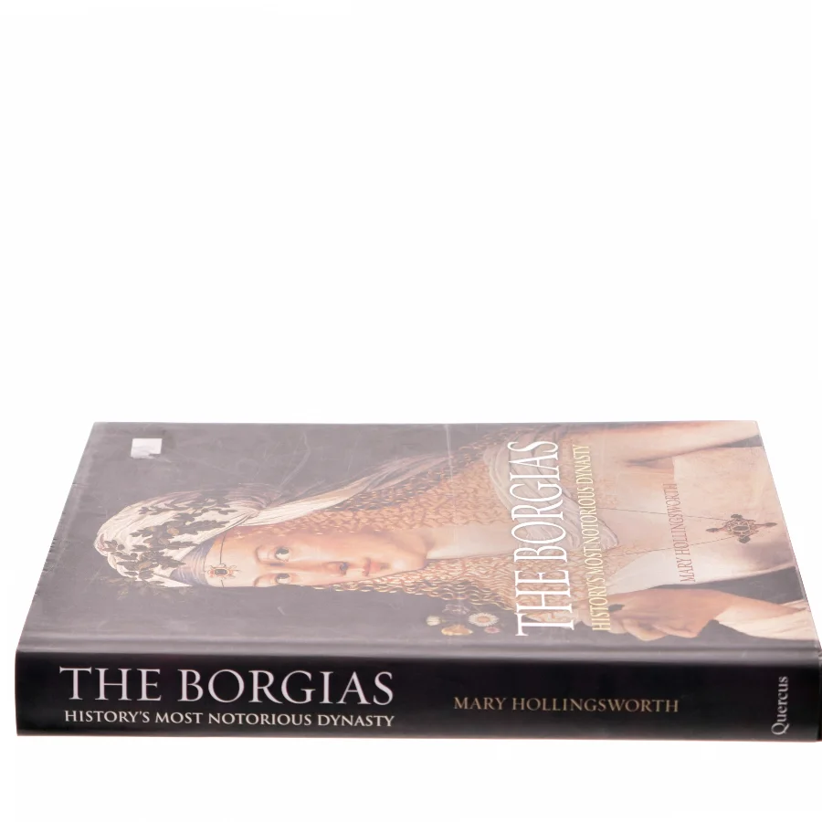 The Borgias history's most notorious dynasty af Mary Hollingsworth (Bog)