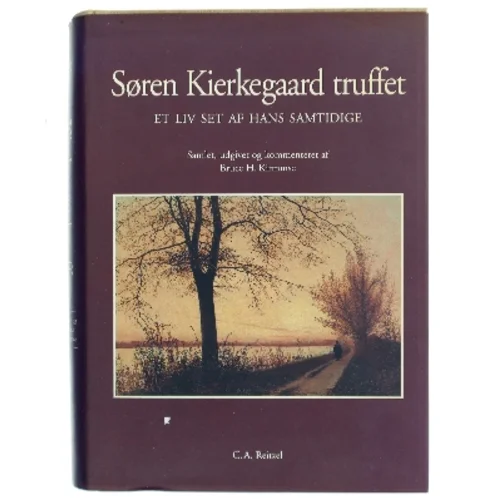 Søren Kierkegaard truffet af Bruce H. Kirmmse (Bog)