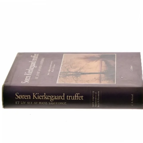 Søren Kierkegaard truffet af Bruce H. Kirmmse (Bog)