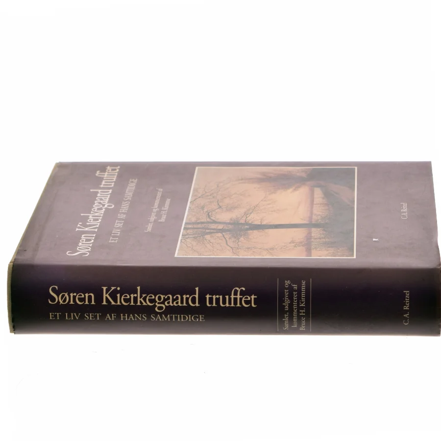 Søren Kierkegaard truffet af Bruce H. Kirmmse (Bog)