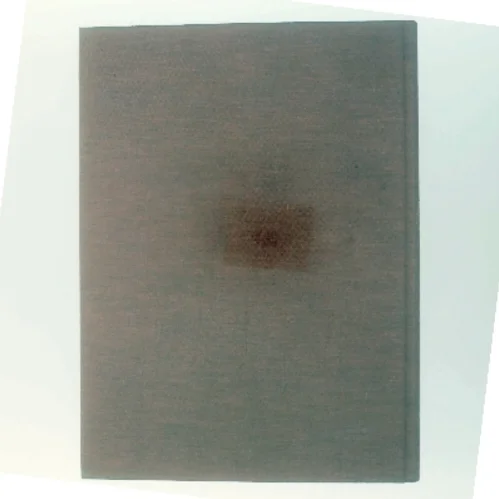 Silent Beauties af Leendert Blok (Bog)