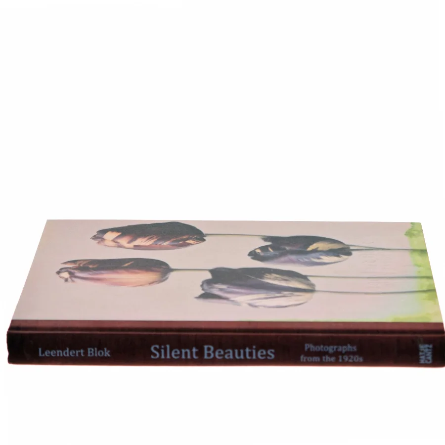 Silent Beauties af Leendert Blok (Bog)