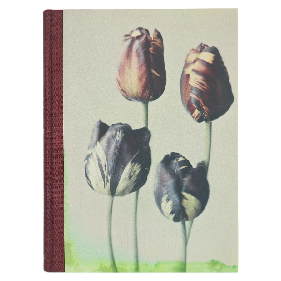 Silent Beauties af Leendert Blok (Bog)