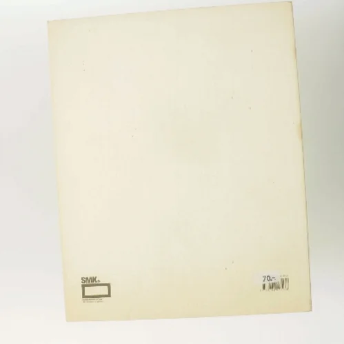 Bjørn Nørgaard : re-modelling the world af Bjørn Nørgaard (Bog)