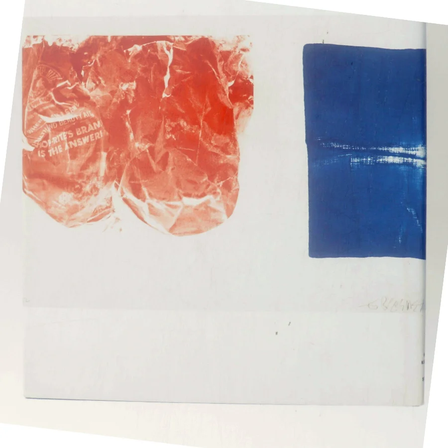 Passion af Birthe og Niels Rokkedal (Bog)