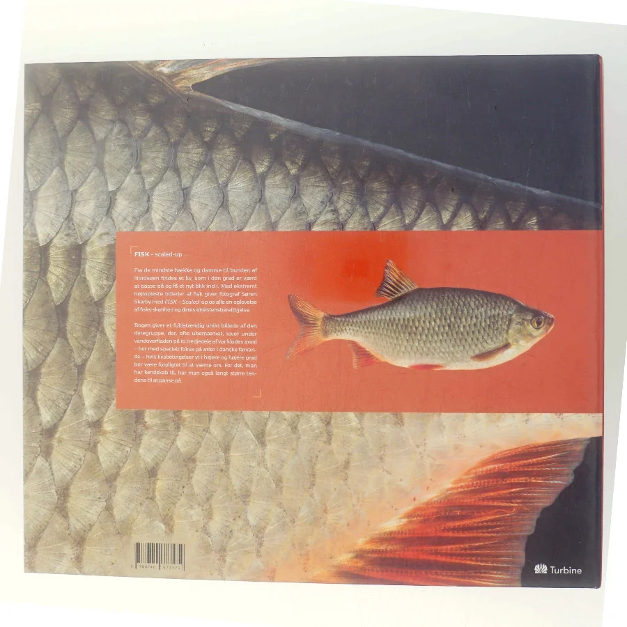 Fisk Scaled-Up af Søren Skarby (Bog)