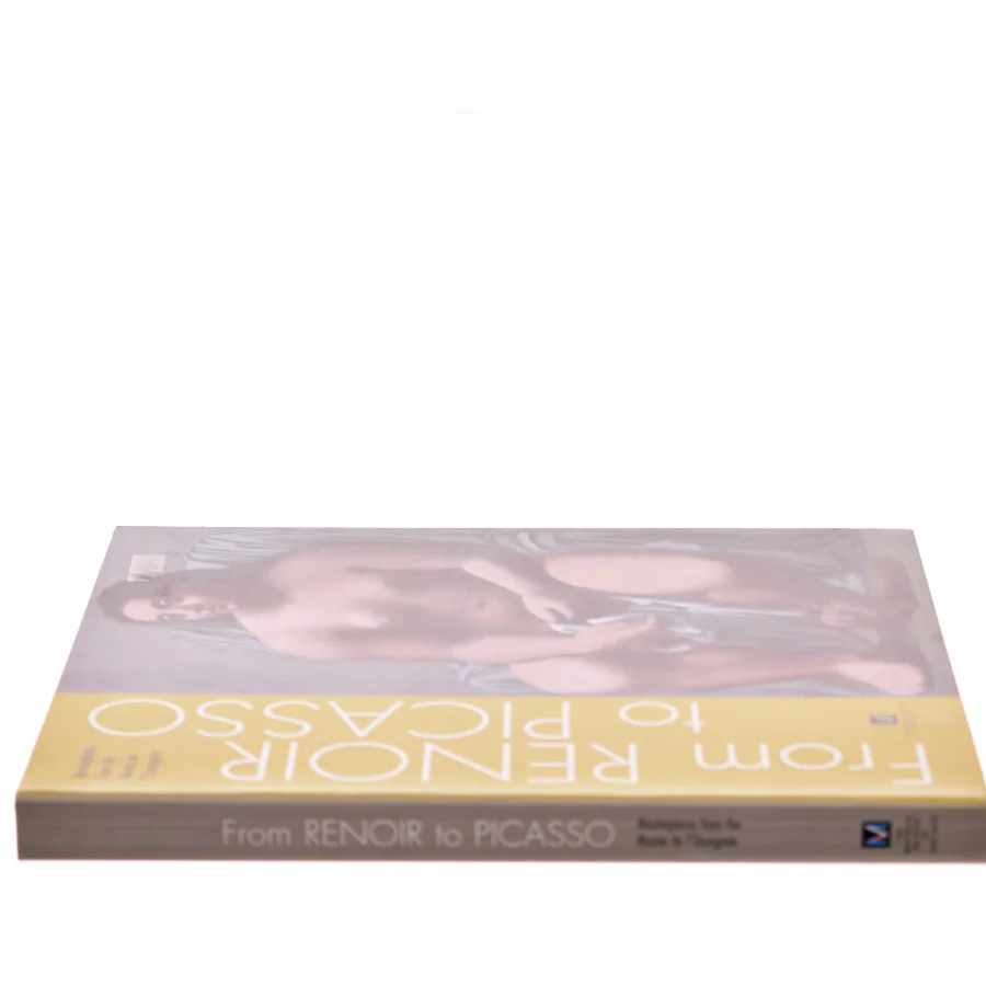 From Renoir to Picasso