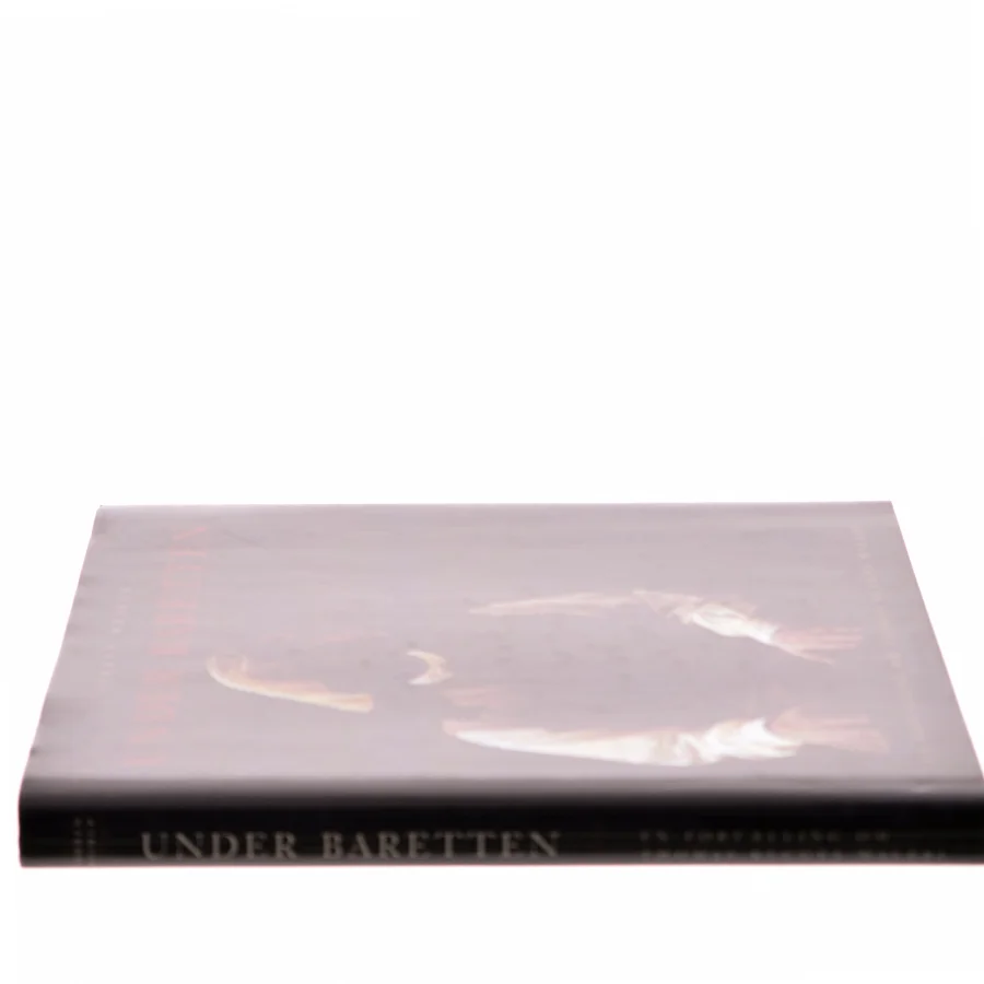 Under baretten : en fortælling om Thomas Kluges maleri af Torben Weirup (Bog)