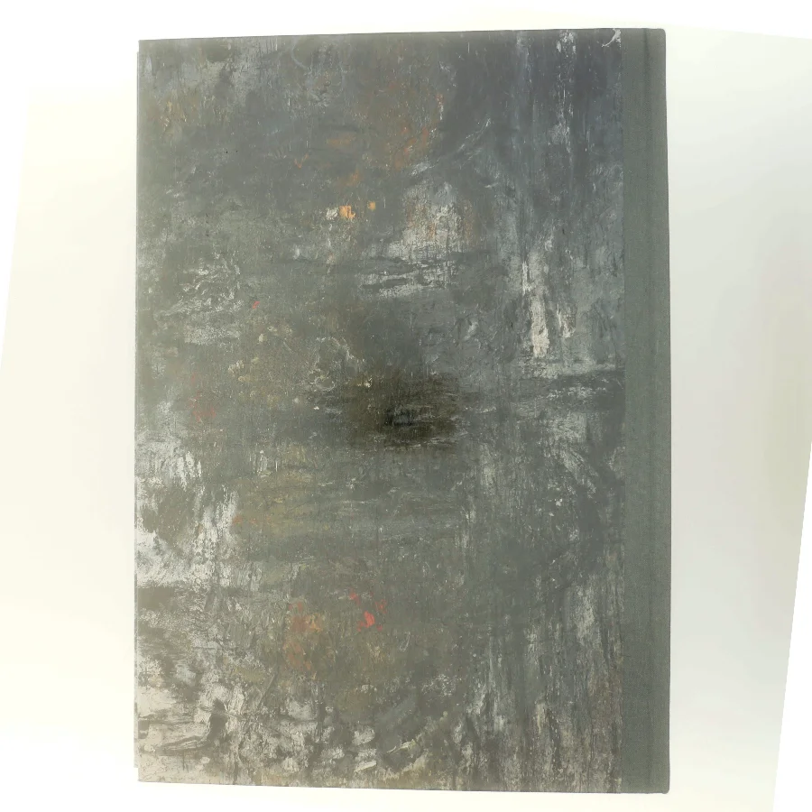 What Does Art Know? af Peter Laugesen (Bog)