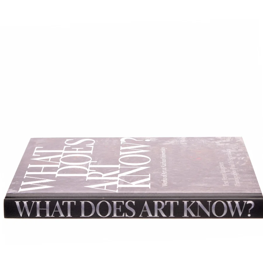 What Does Art Know? af Peter Laugesen (Bog)