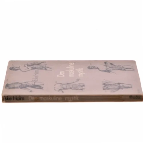 Den maskuline mystik af Eske Holm (Bog)